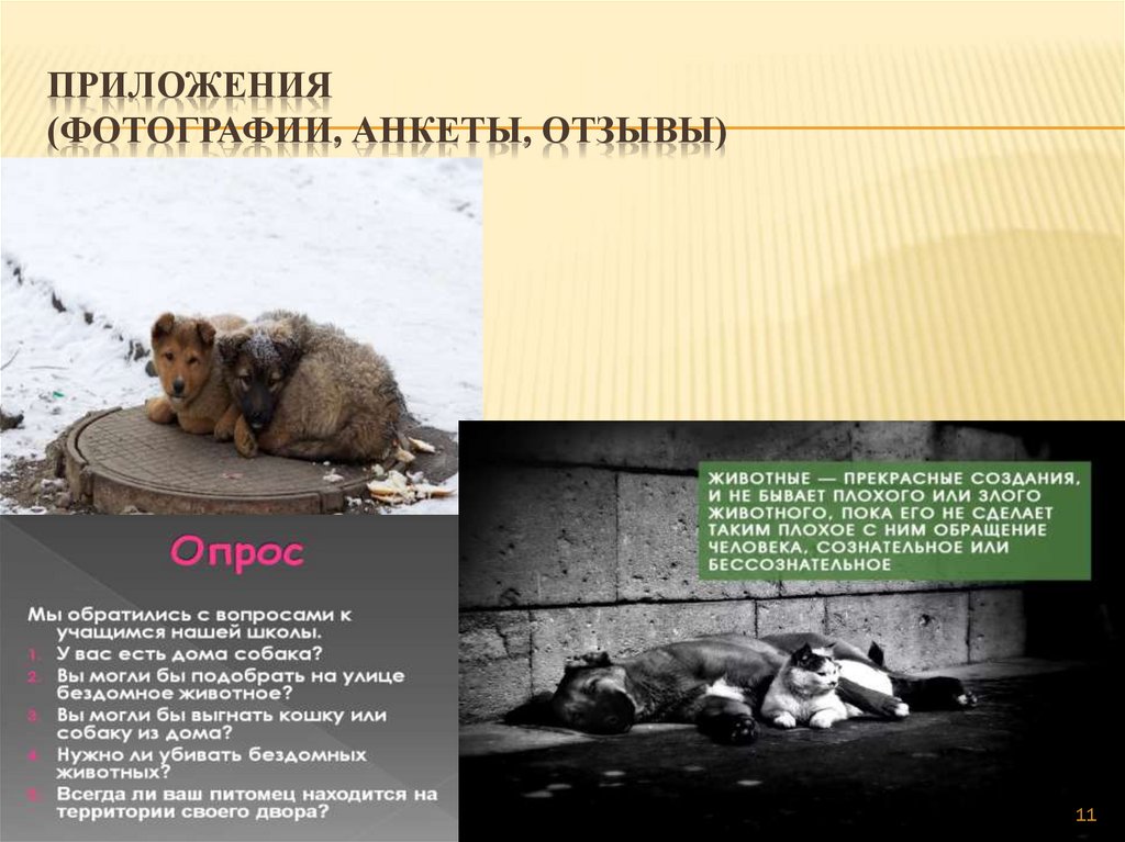 Приложения (фотографии, анкеты, отзывы)