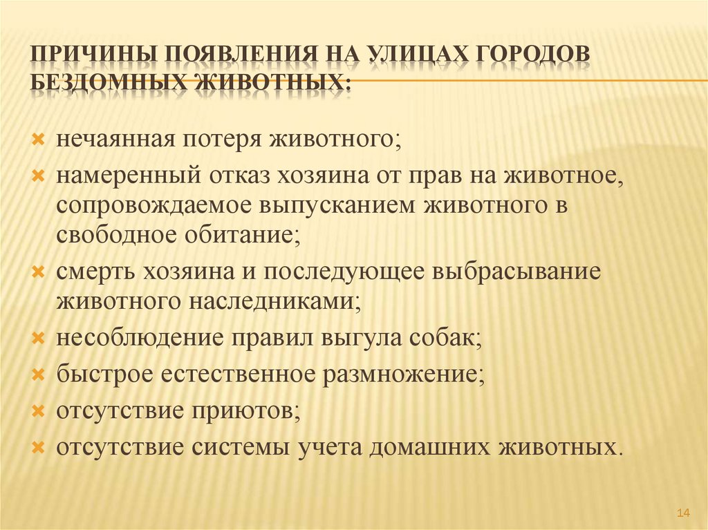 Причины появления на улицах городов бездомных животных: