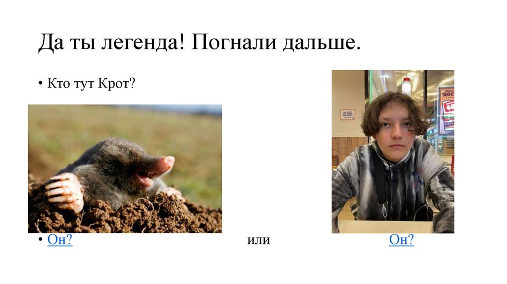 Да ты легенда! Погнали дальше.