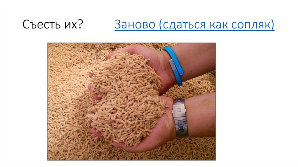 Съесть их? Заново (сдаться как сопляк)