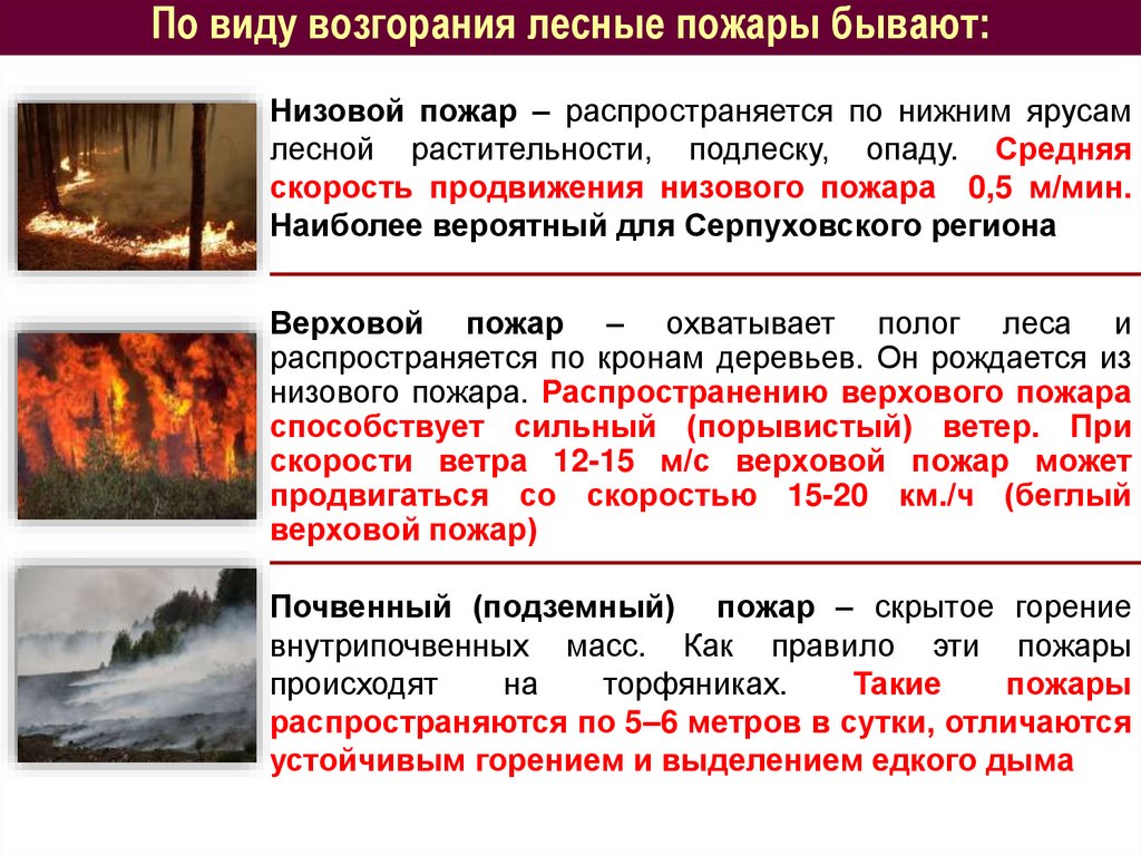 По виду возгорания лесные пожары бывают: