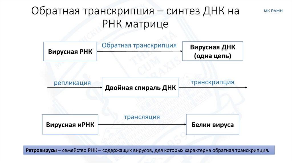 Обратная транскрипция – синтез ДНК на РНК матрице