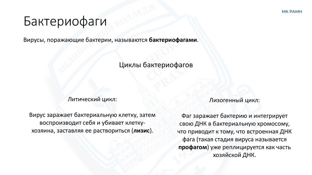 Бактериофаги