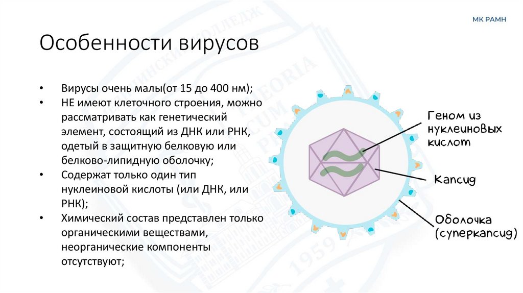 Особенности вирусов