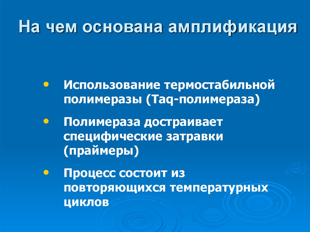 На чем основана амплификация
