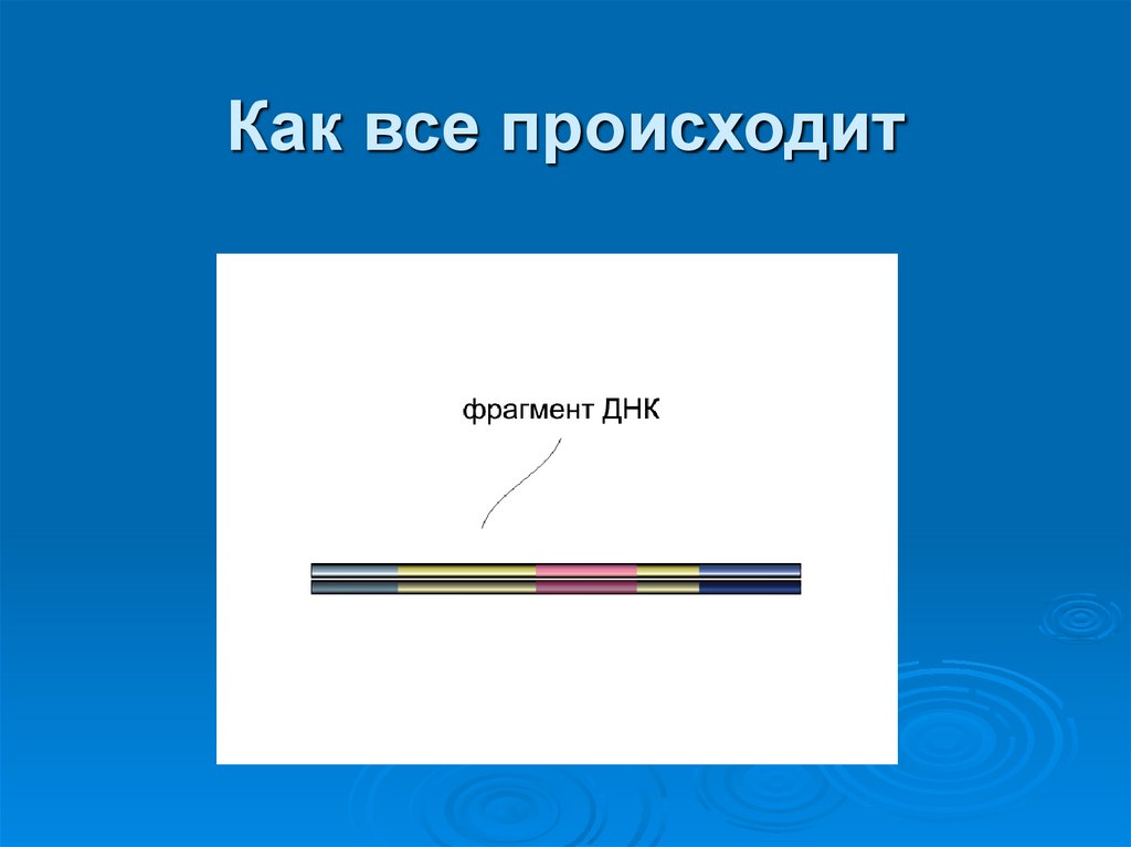 Как все происходит