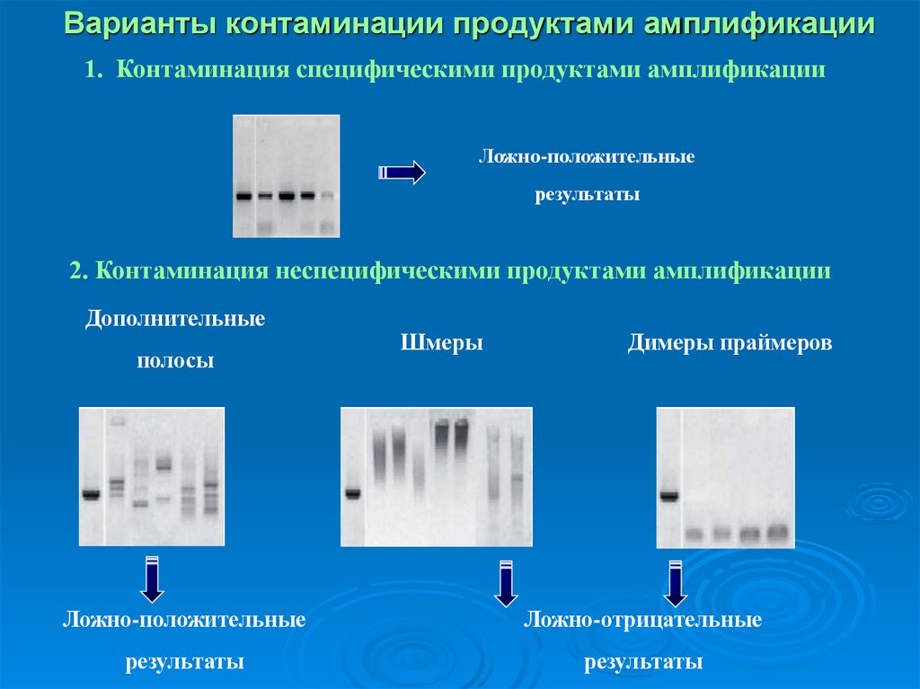 Варианты контаминации продуктами амплификации