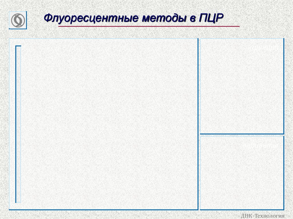 Флуоресцентные методы в ПЦР
