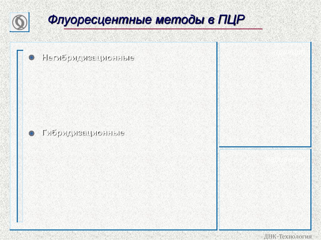 Флуоресцентные методы в ПЦР