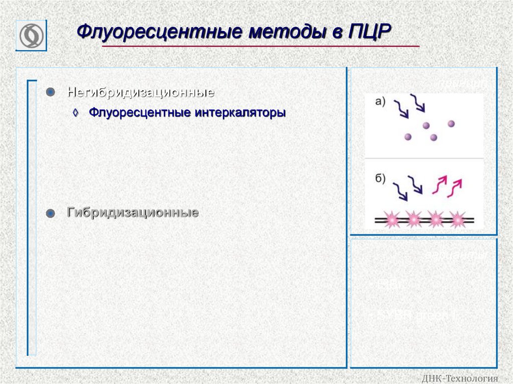 Флуоресцентные методы в ПЦР