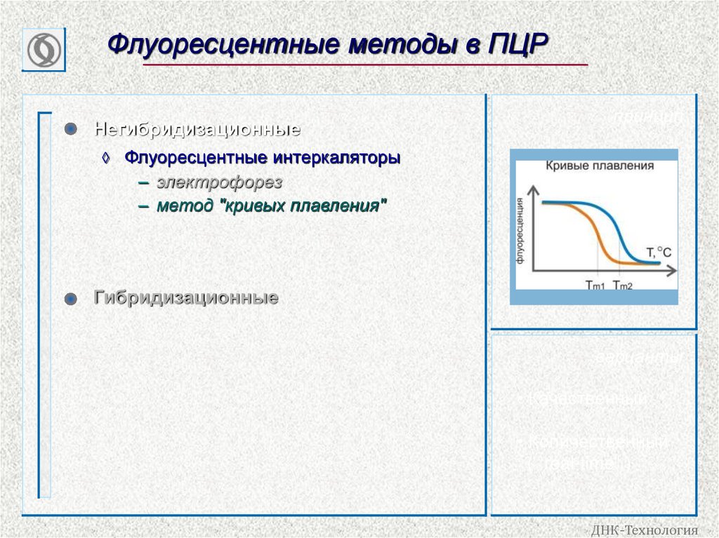 Флуоресцентные методы в ПЦР