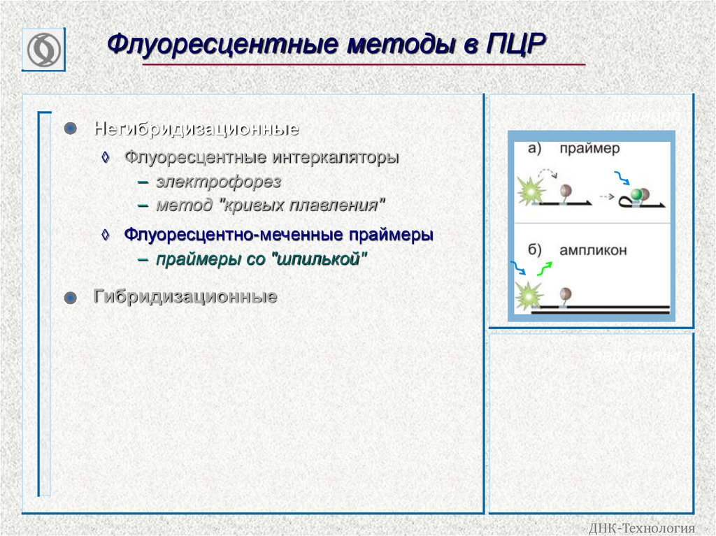 Флуоресцентные методы в ПЦР