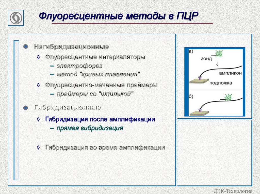 Флуоресцентные методы в ПЦР