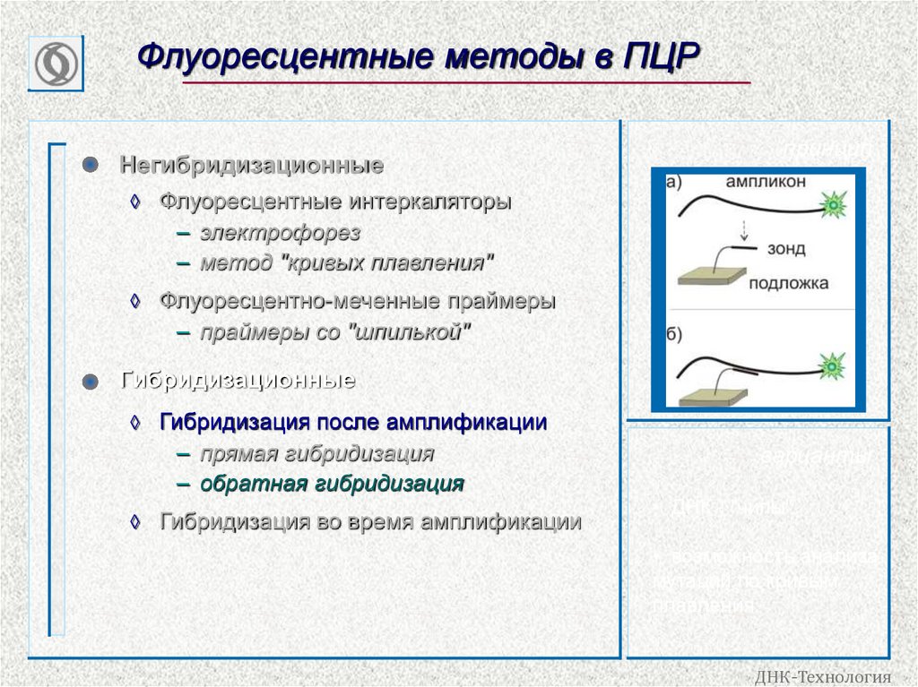 Флуоресцентные методы в ПЦР