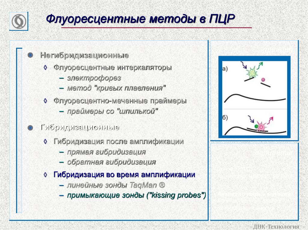 Флуоресцентные методы в ПЦР
