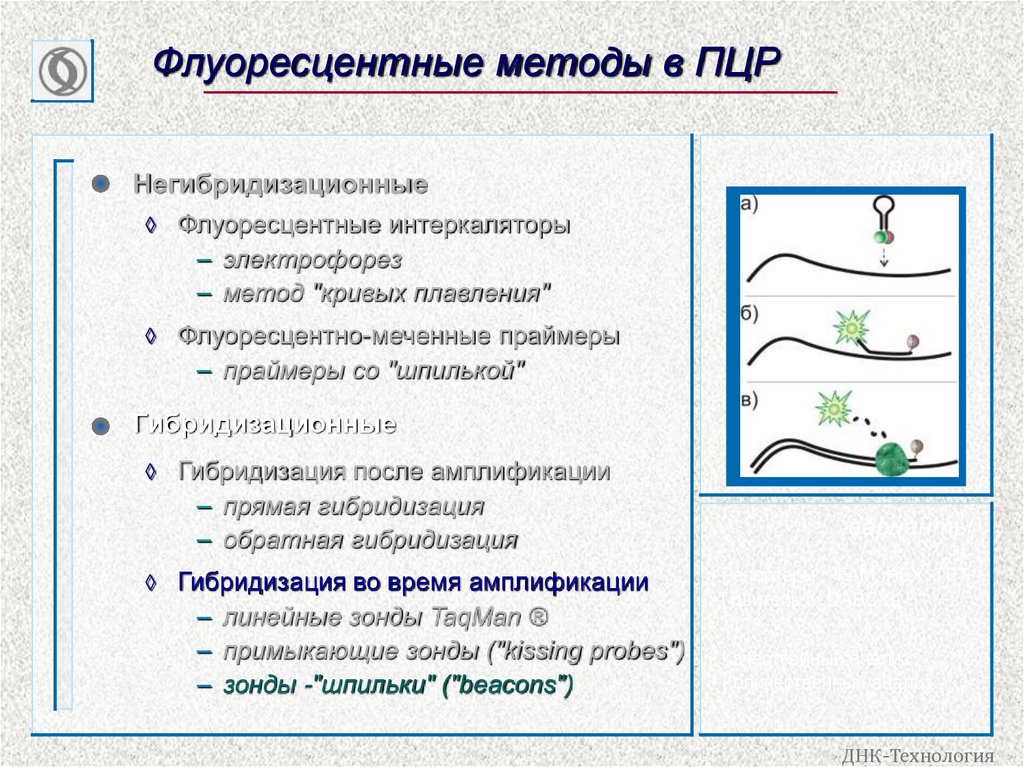 Флуоресцентные методы в ПЦР