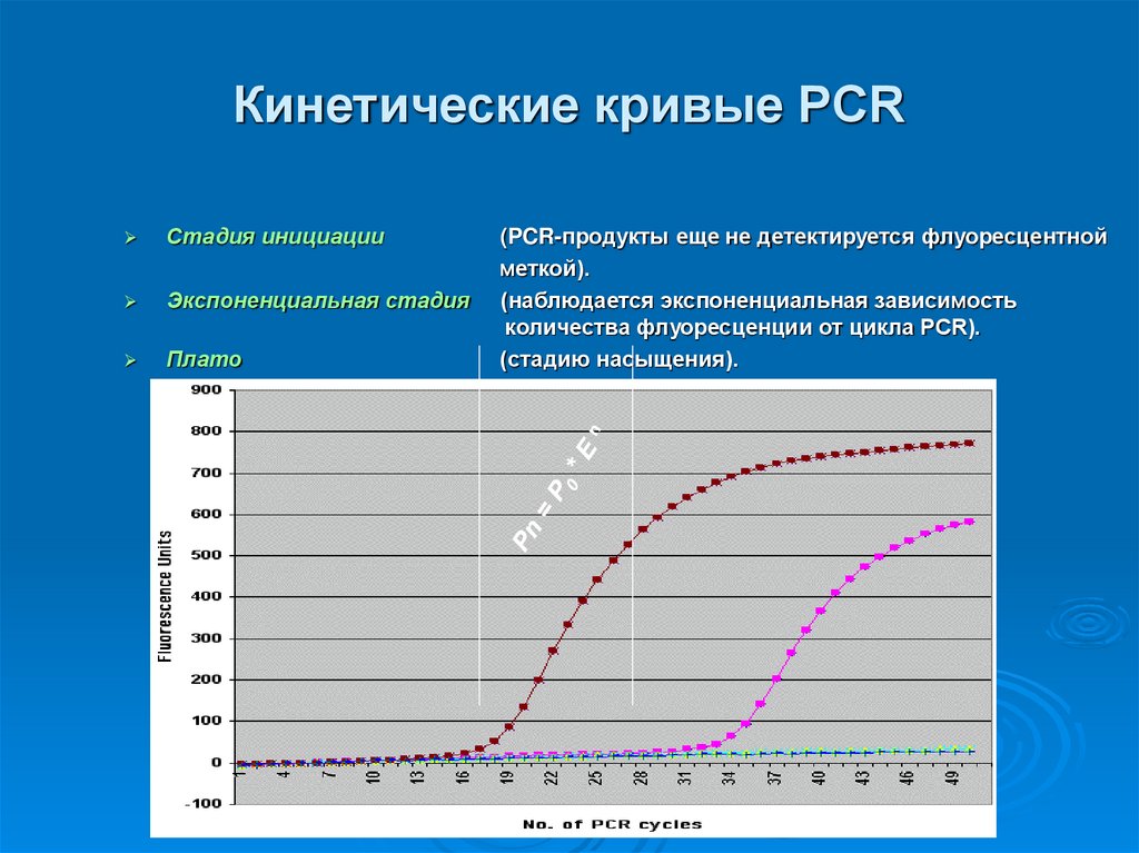 Кинетические кривые PCR