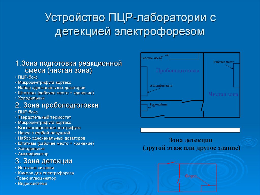 Устройство ПЦР-лаборатории с детекцией электрофорезом