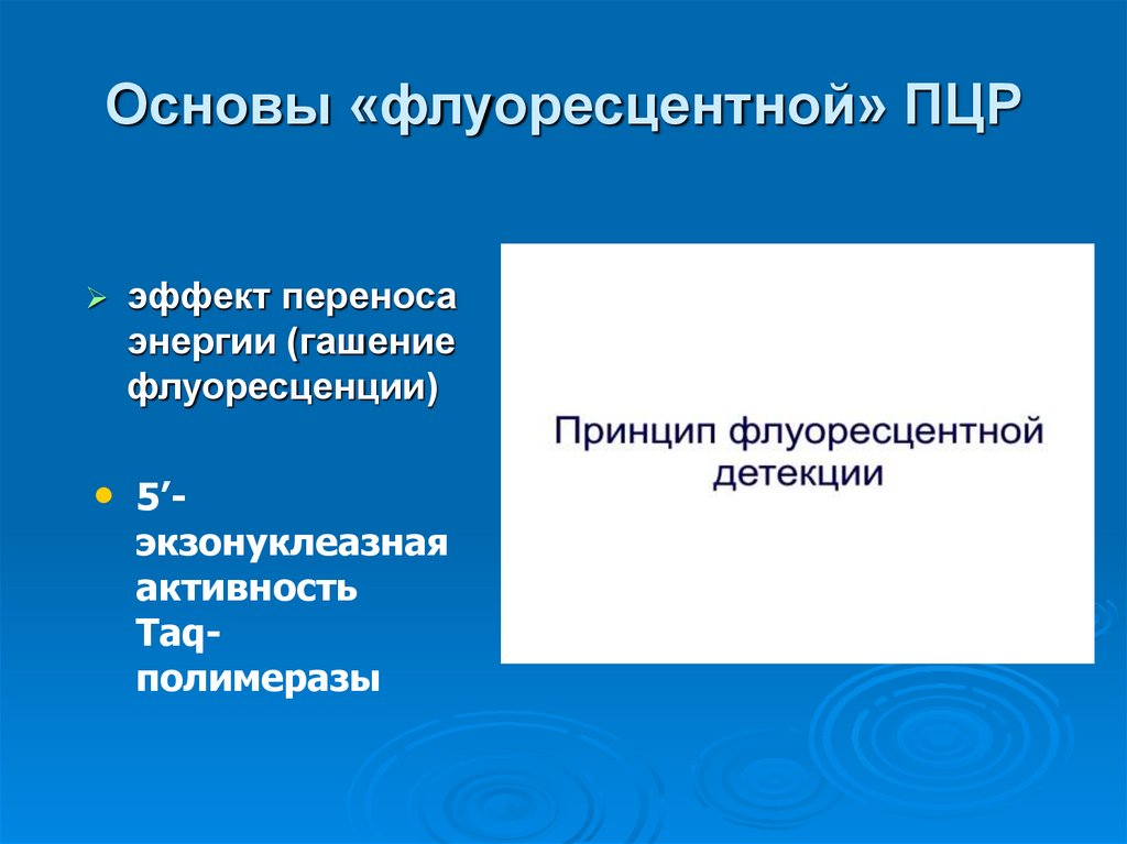 Основы «флуоресцентной» ПЦР