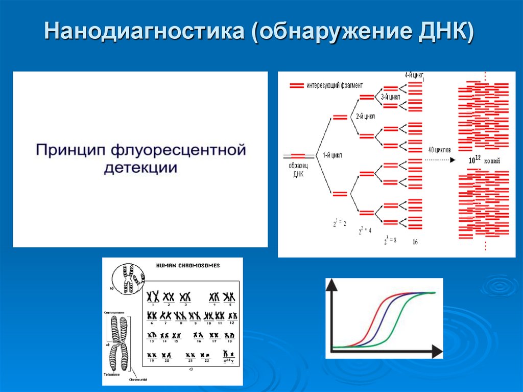 Нанодиагностика (обнаружение ДНК)