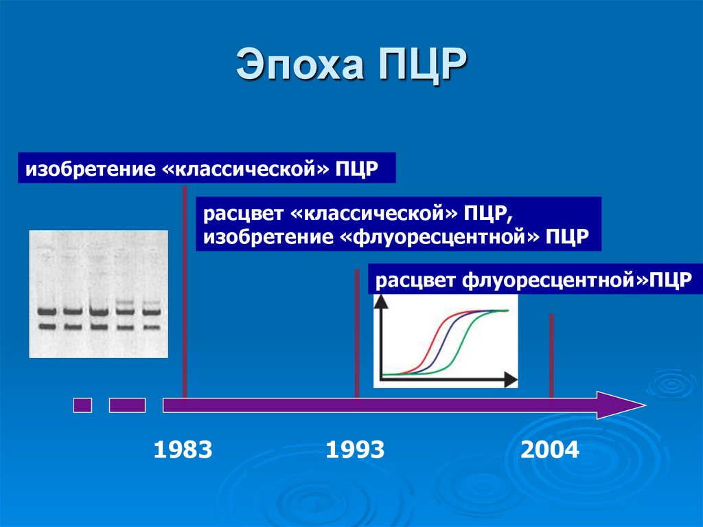 Эпоха ПЦР