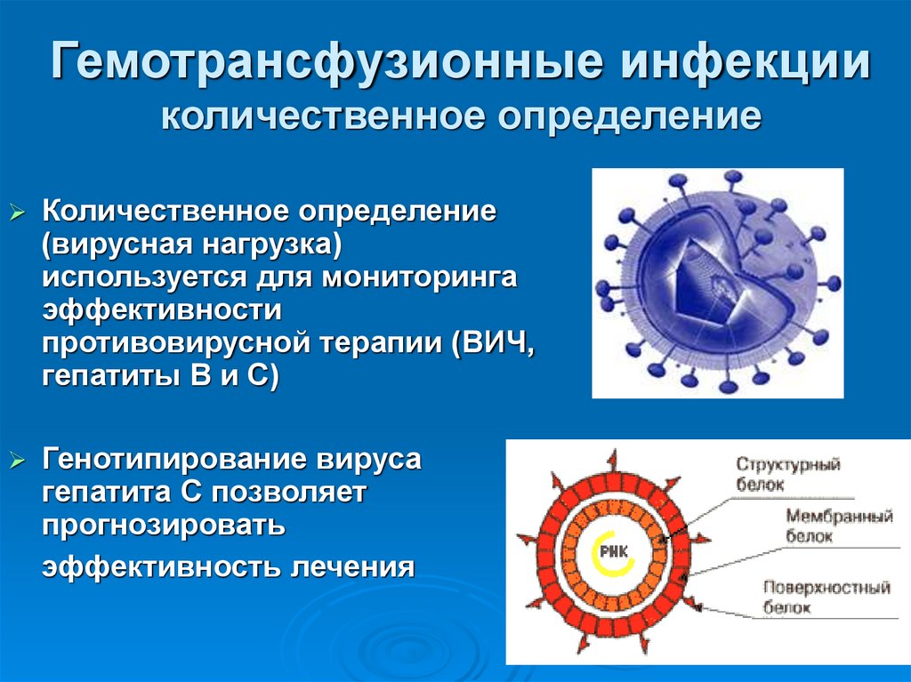 Гемотрансфузионные инфекции количественное определение