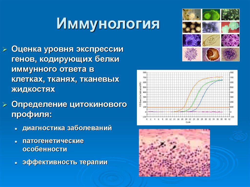 Иммунология
