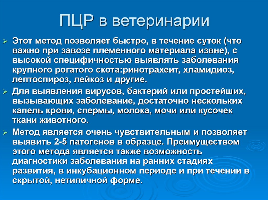 ПЦР в ветеринарии
