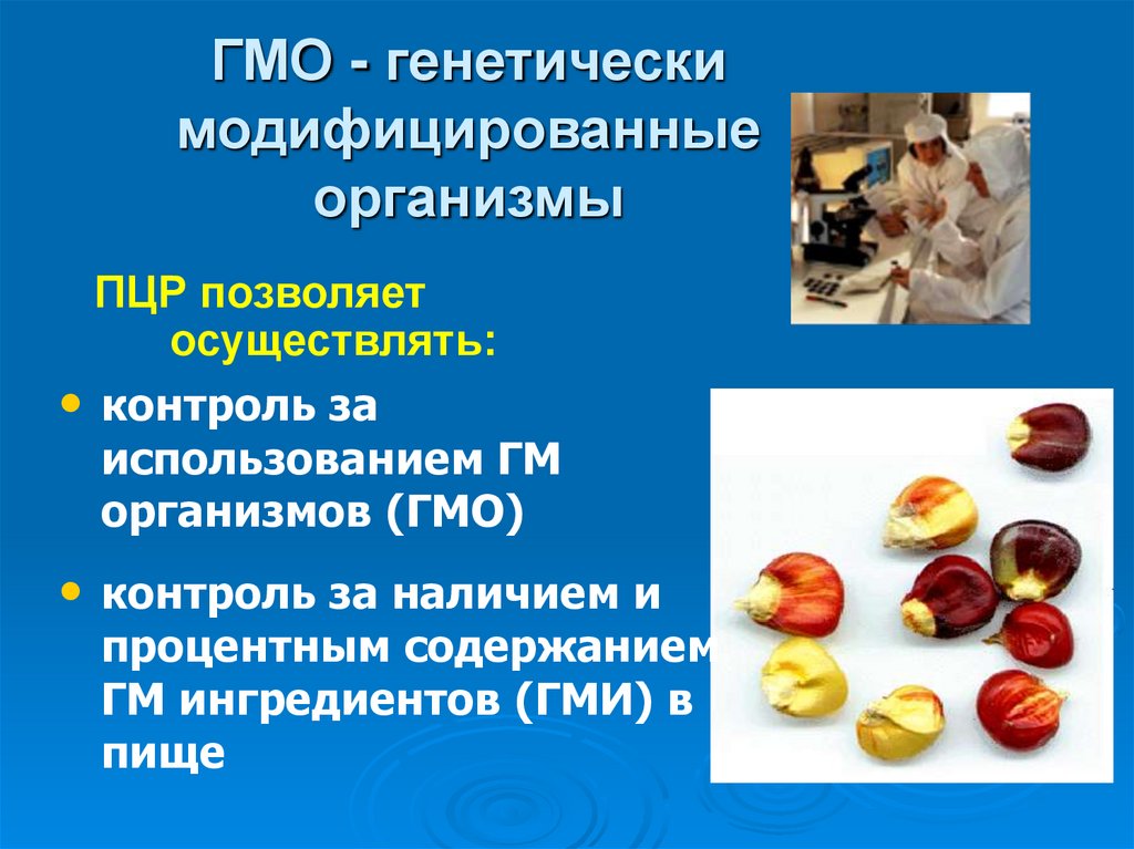 ГМО - генетически модифицированные организмы