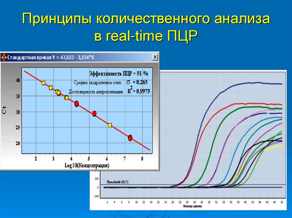 Принципы количественного анализа в real-time ПЦР
