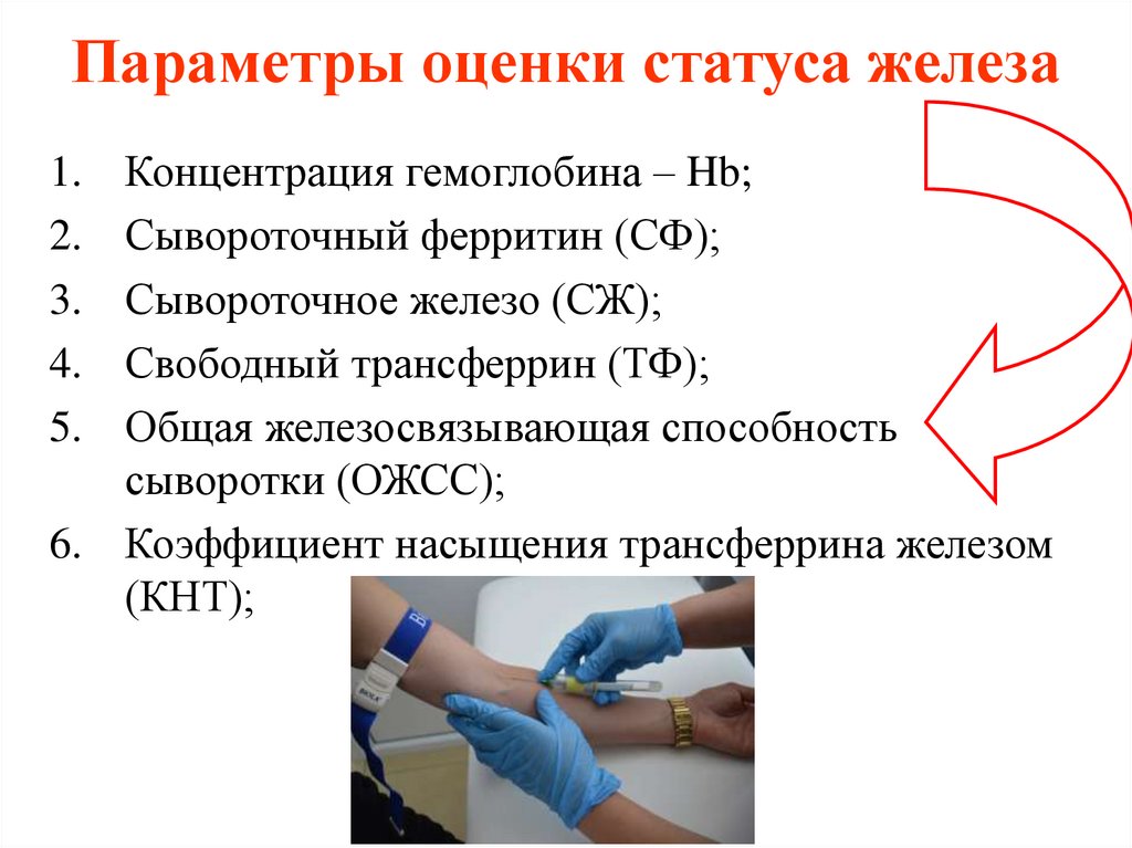 Параметры оценки статуса железа