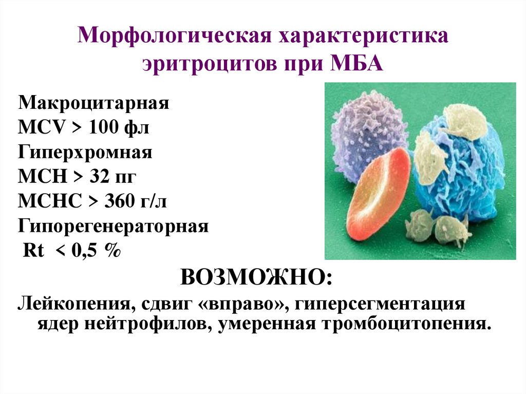 Морфологическая характеристика эритроцитов при МБА