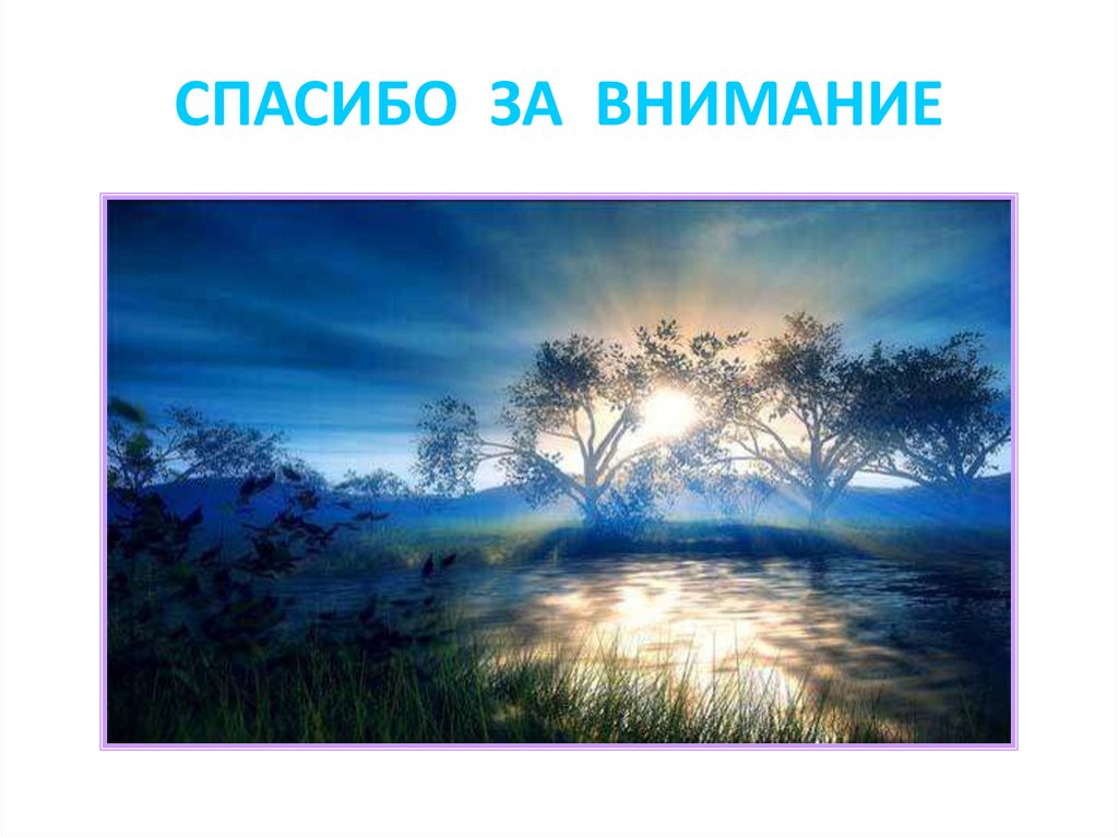 СПАСИБО ЗА ВНИМАНИЕ