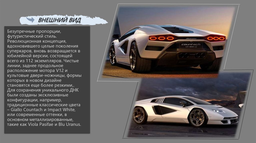 Внешний вид