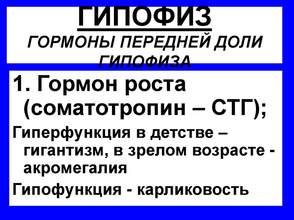 ГИПОФИЗ ГОРМОНЫ ПЕРЕДНЕЙ ДОЛИ ГИПОФИЗА
