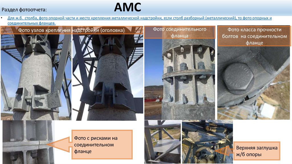 Раздел фотоотчета: АМС