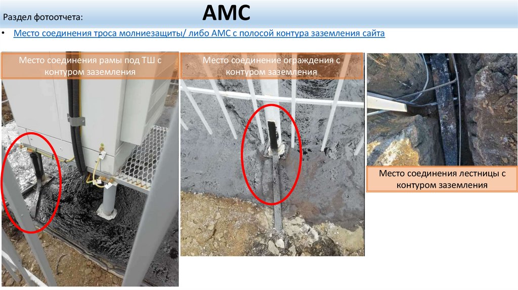 Раздел фотоотчета: АМС