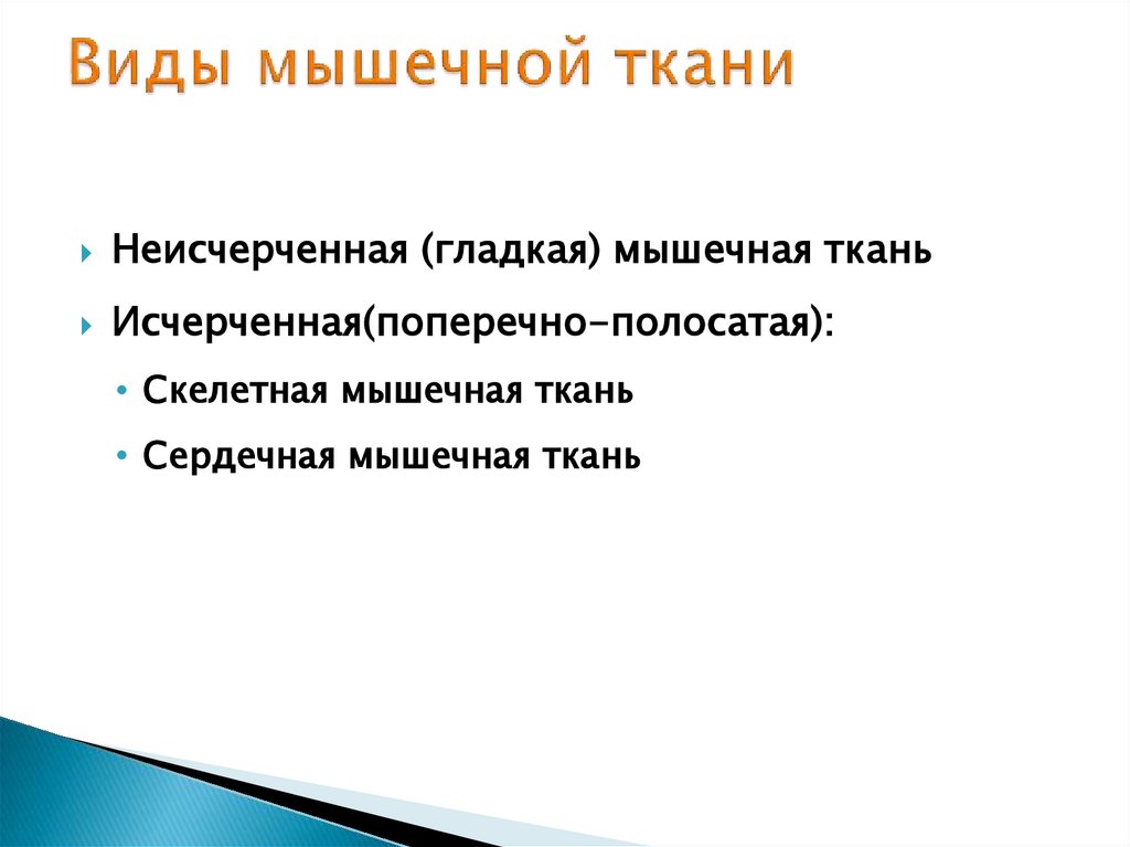 Виды мышечной ткани