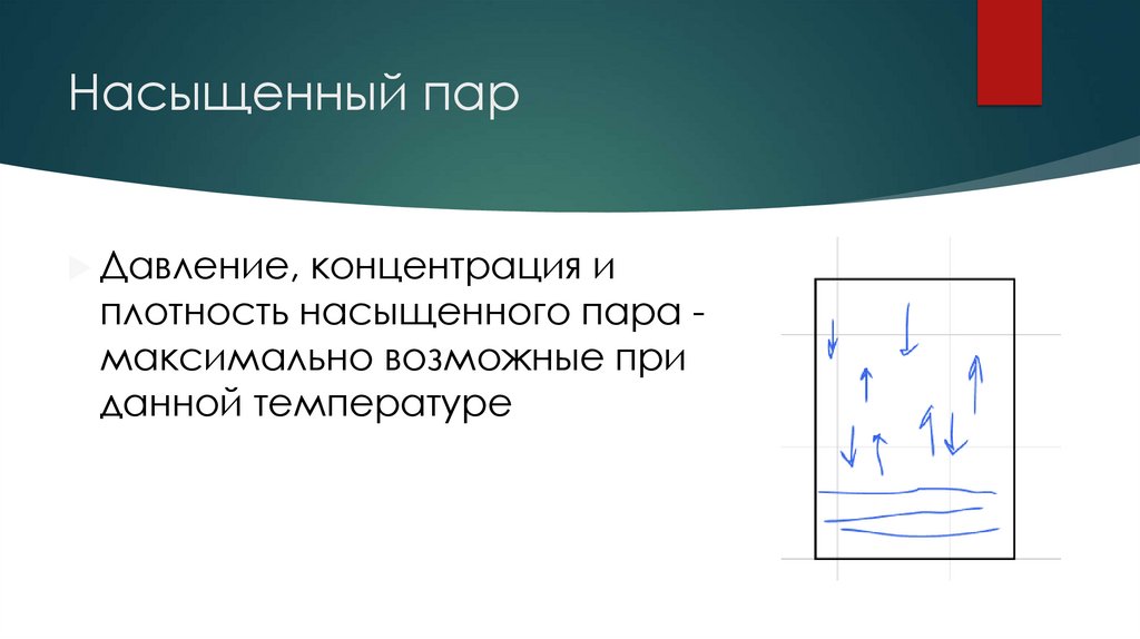 Насыщенный пар