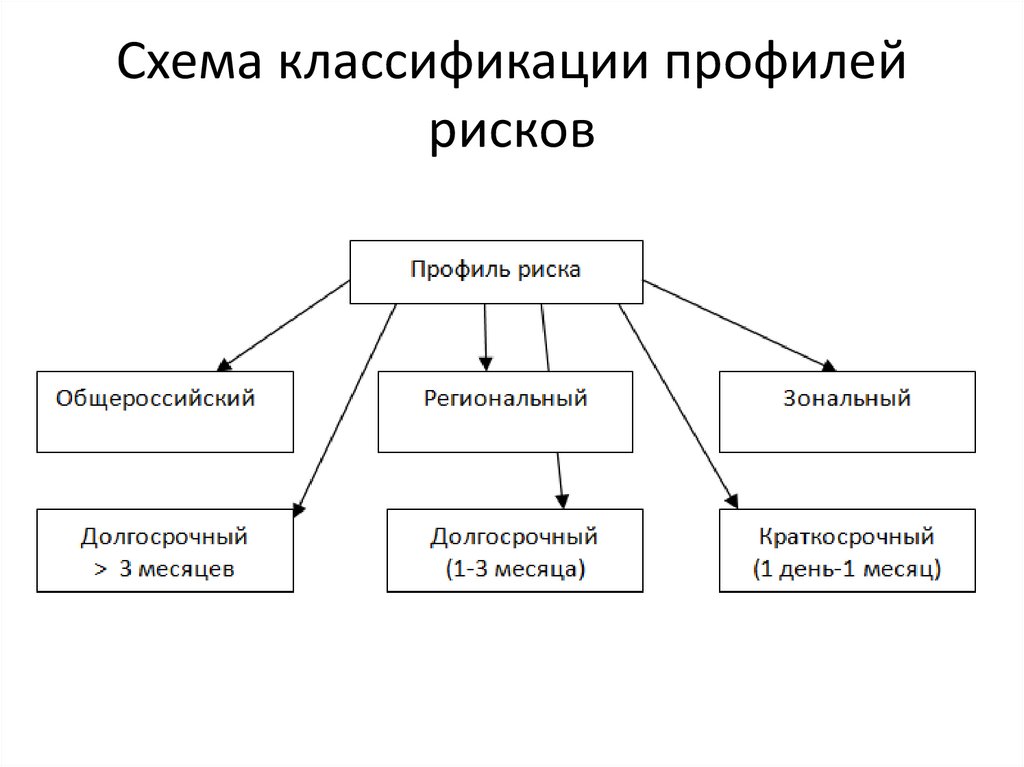 Схема классификации профилей рисков