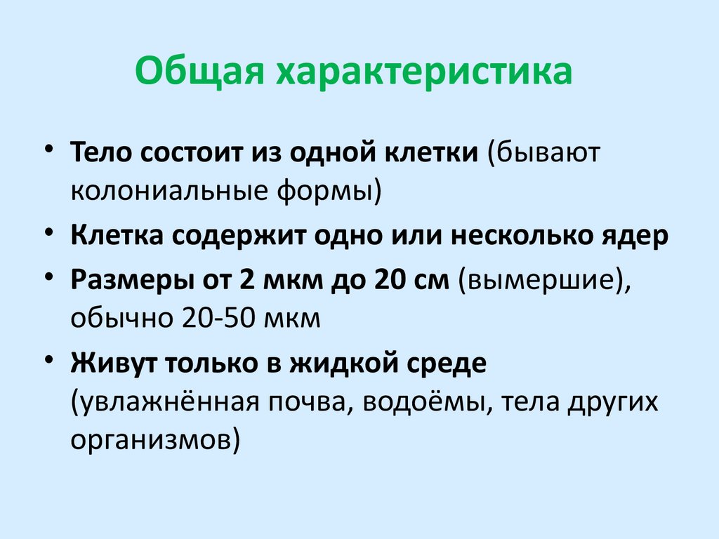 Общая характеристика