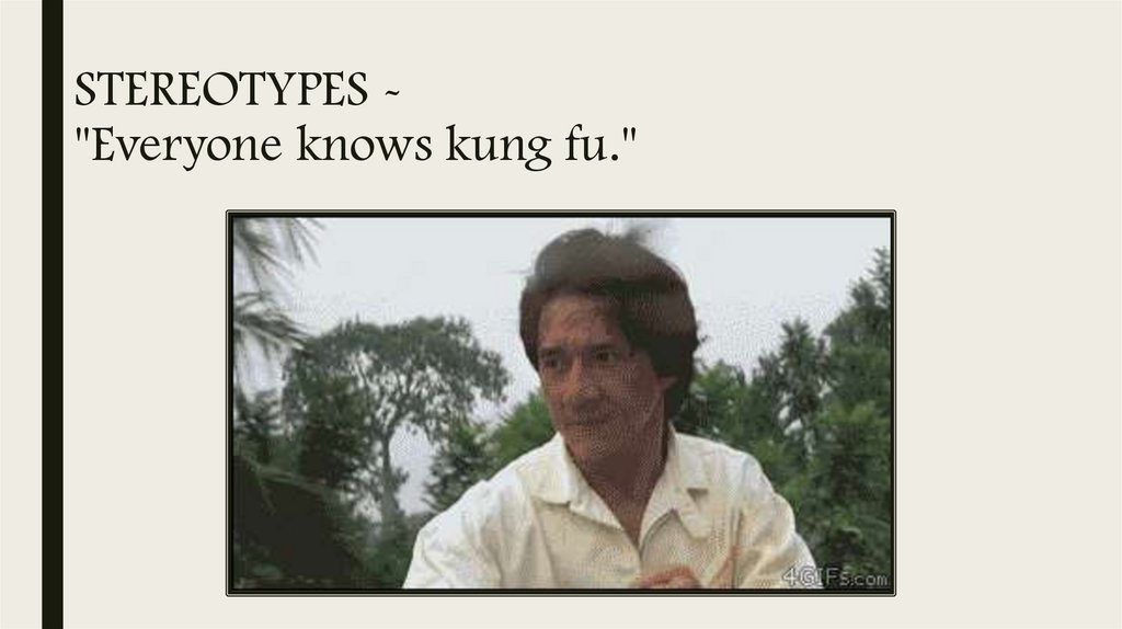 STEREOTYPES - "Everyone knows kung fu."