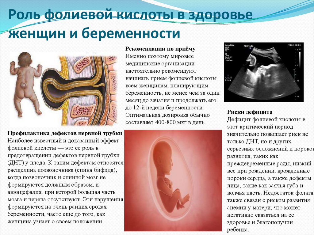 Роль фолиевой кислоты в здоровье женщин и беременности