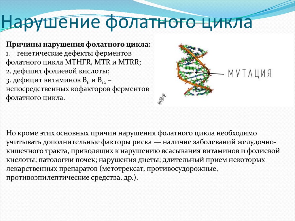 Нарушение фолатного цикла