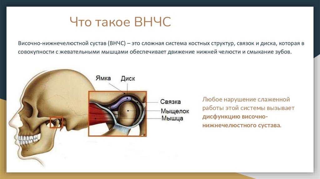 Что такое ВНЧС