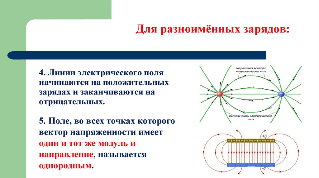 4. Линии электрического поля начинаются на положительных зарядах и заканчиваются на отрицательных.