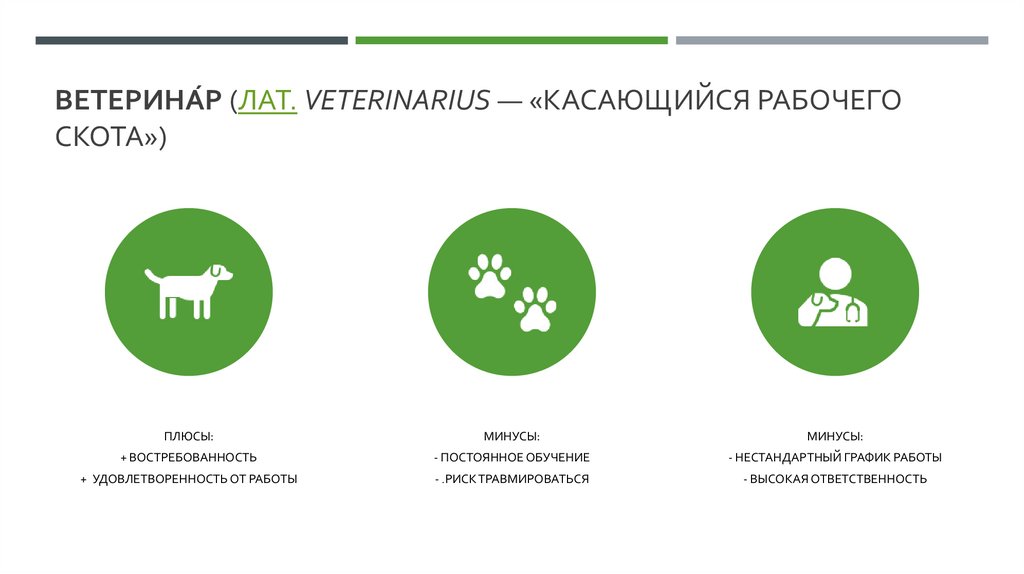 Ветерина́р (лат. veterinarius — «касающийся рабочего скота»)