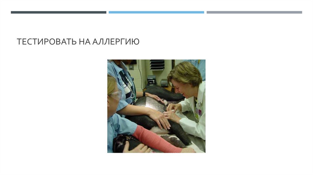 Тестировать на аллергию