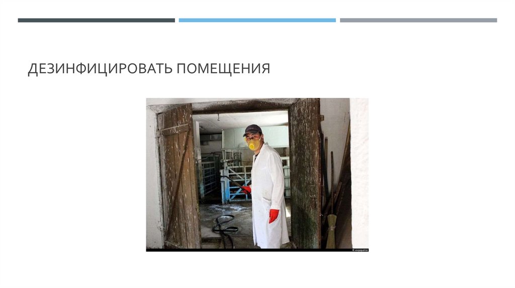 Дезинфицировать помещения