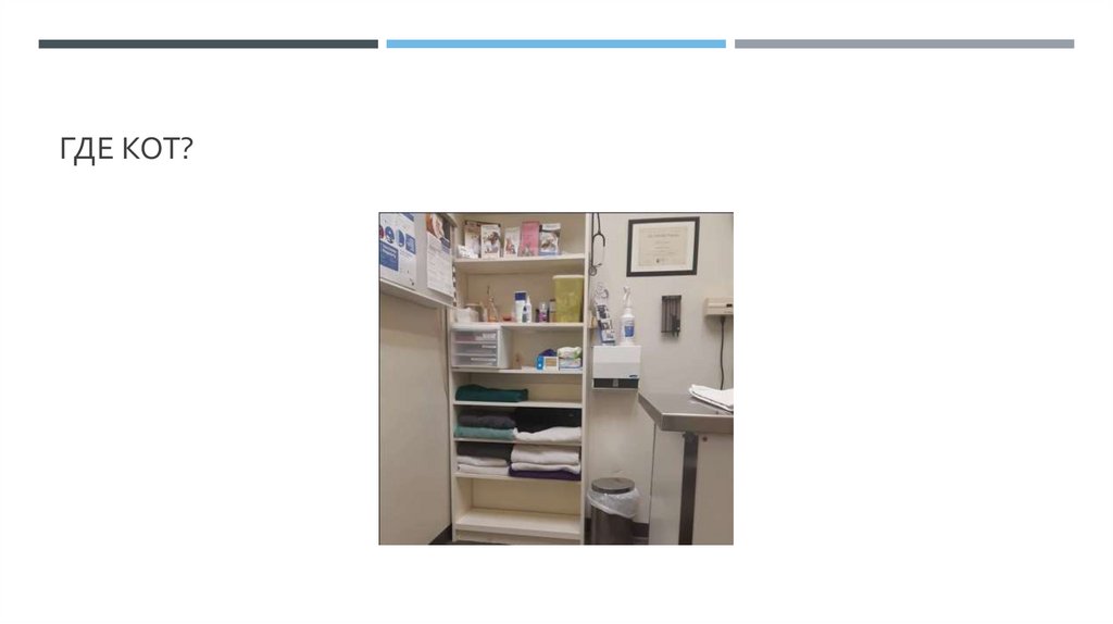 Где кот?